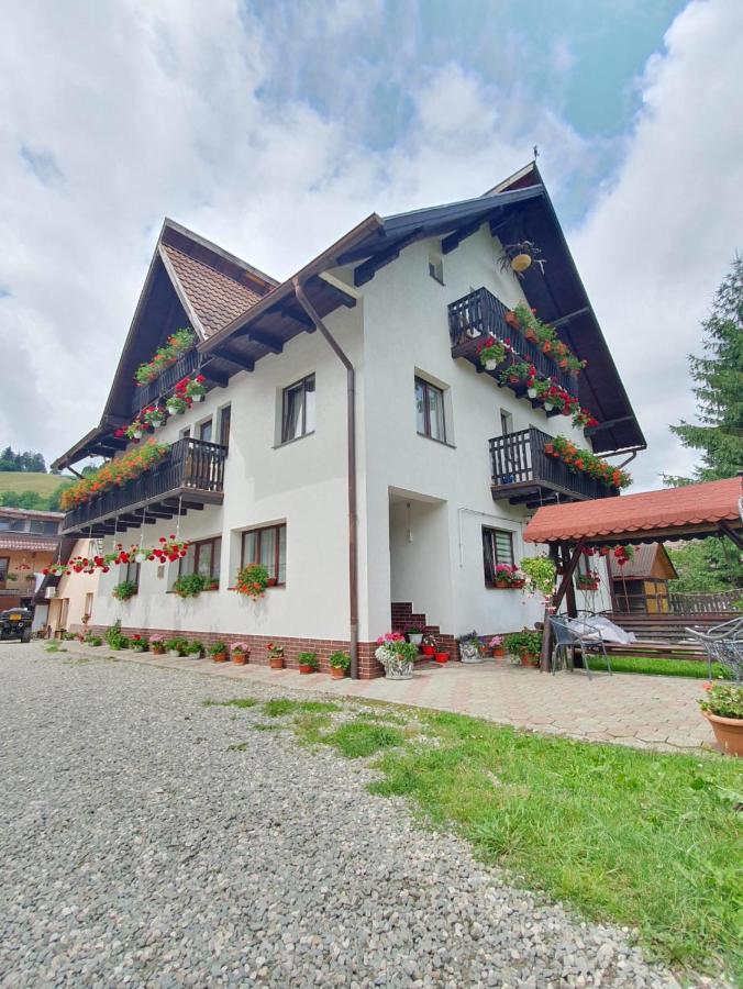 Hotel Casa Flavius Bran  Zewnętrze zdjęcie