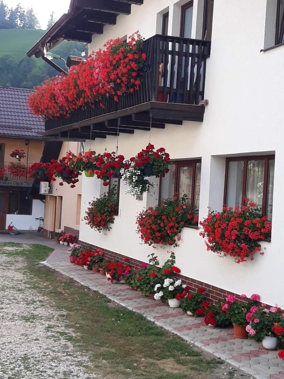 Hotel Casa Flavius Bran  Zewnętrze zdjęcie