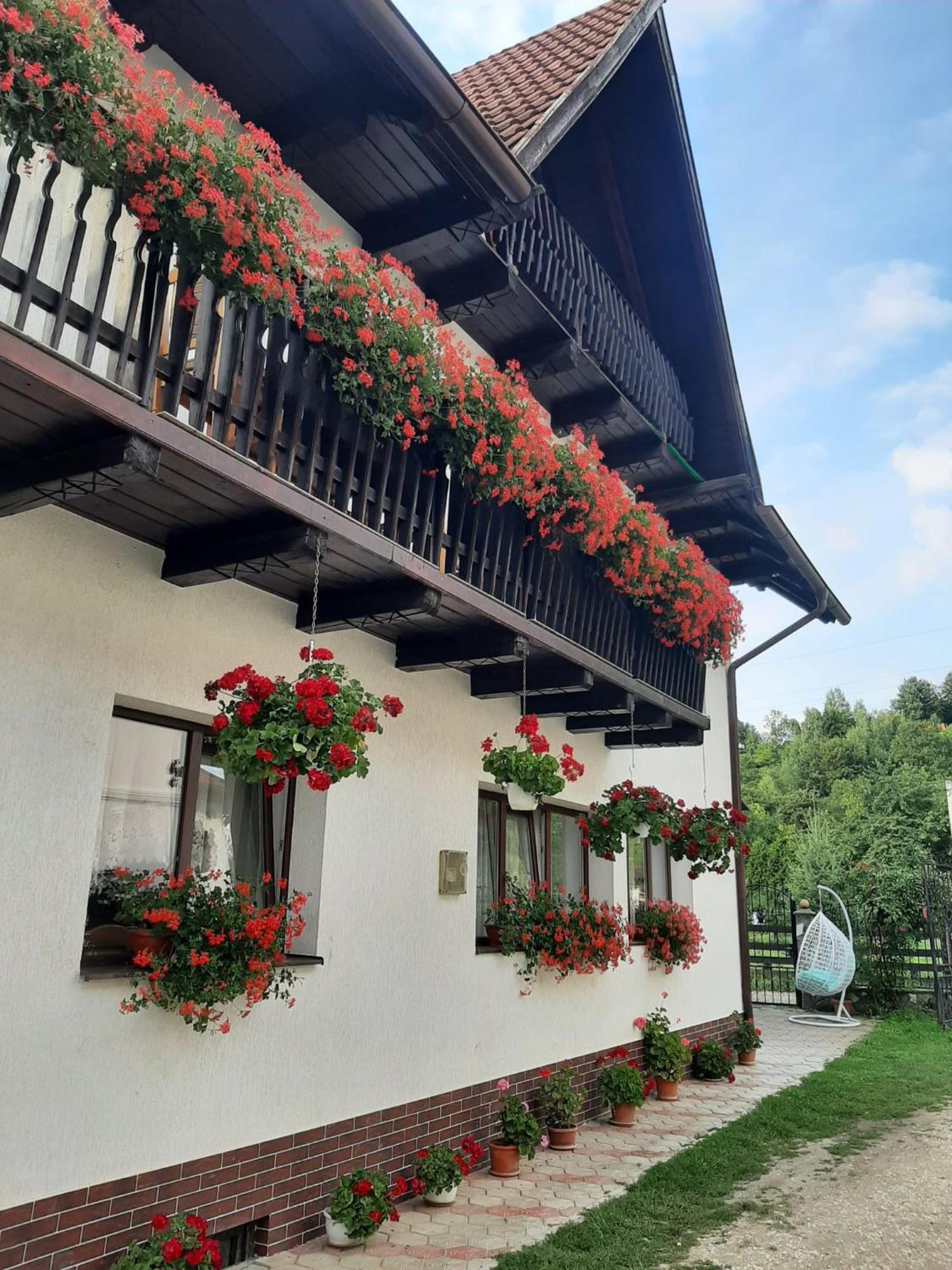 Hotel Casa Flavius Bran  Zewnętrze zdjęcie
