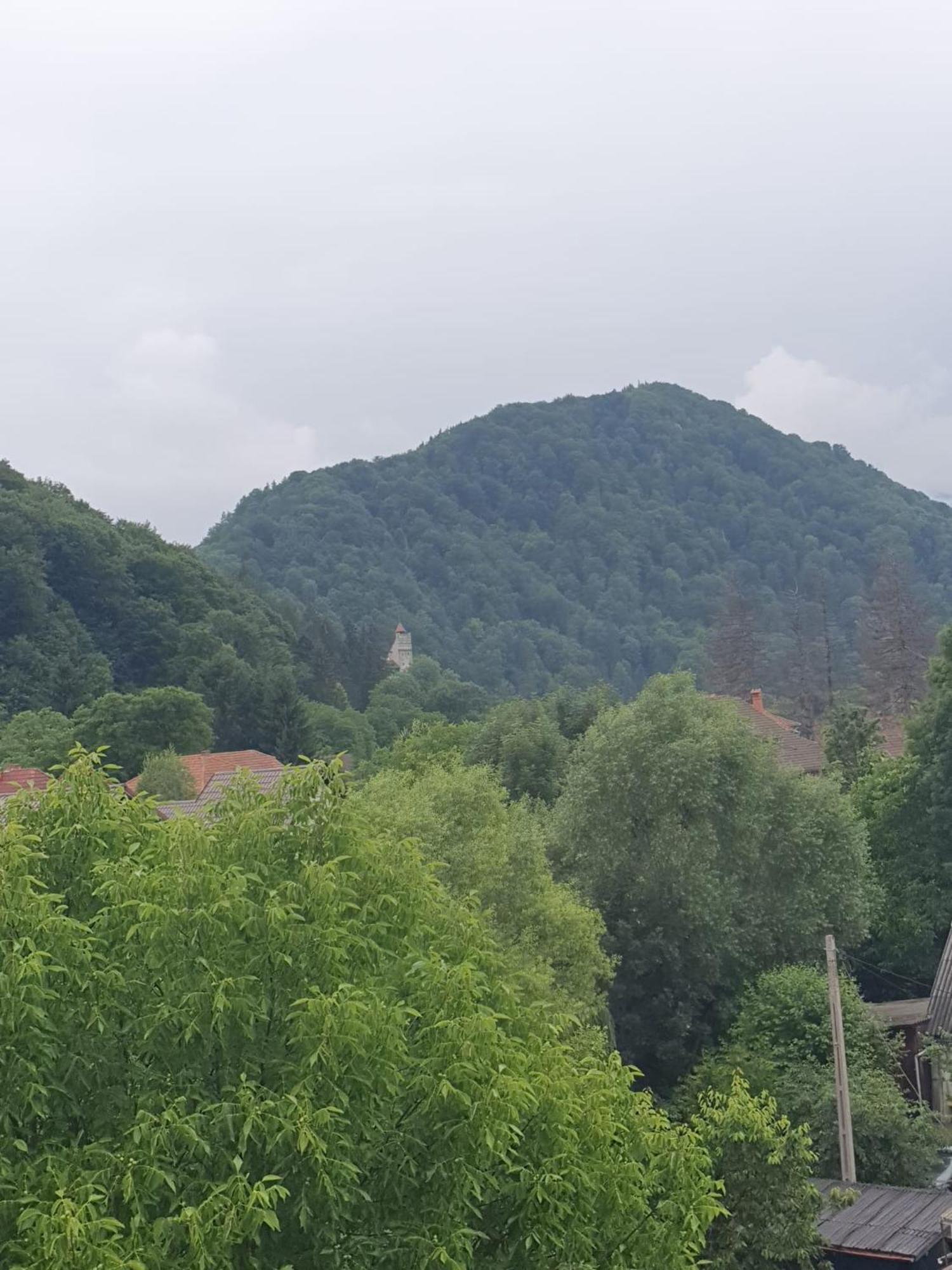 Hotel Casa Flavius Bran  Zewnętrze zdjęcie