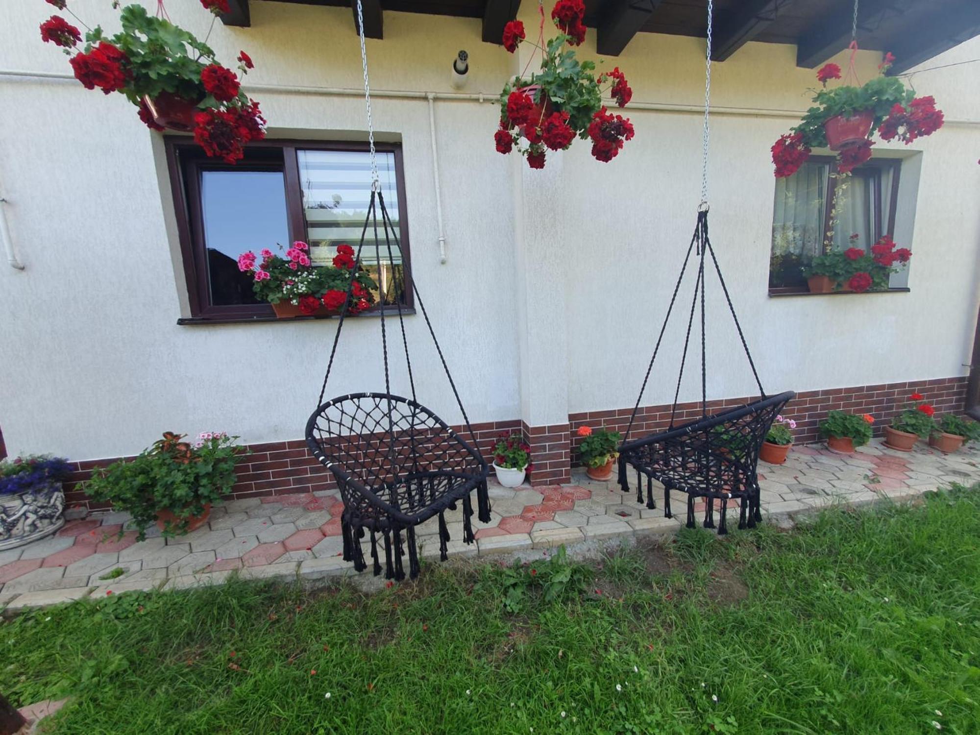 Hotel Casa Flavius Bran  Zewnętrze zdjęcie
